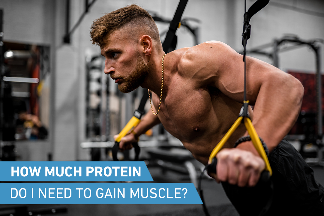 How Much Protein Do I Need to Gain Muscle? – Oatein